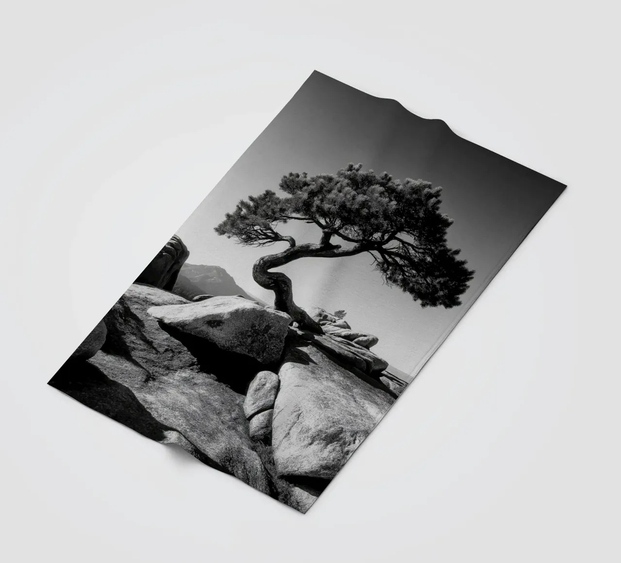 Albero in bianco e nero sulla cima di una montagna coperta in pile da Indigo Tides Art