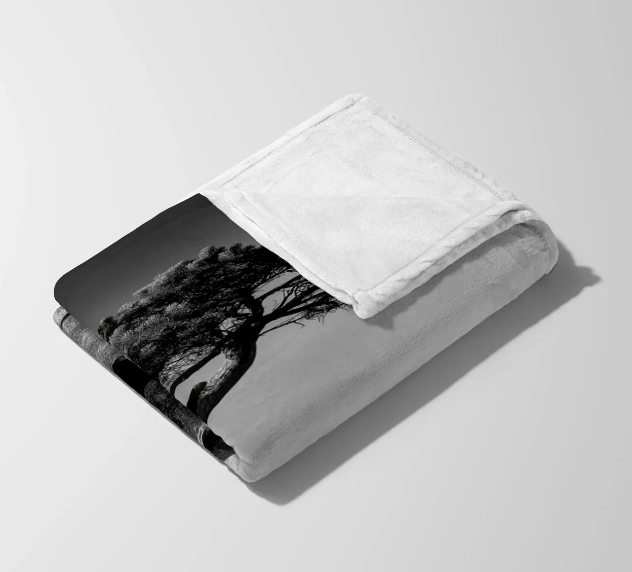 Albero in bianco e nero sulla cima di una montagna coperta in pile da Indigo Tides Art