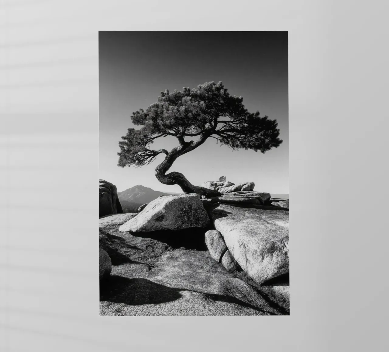 Albero in bianco e nero sulla cima di una montagna pellicola backlit da Indigo Tides Art