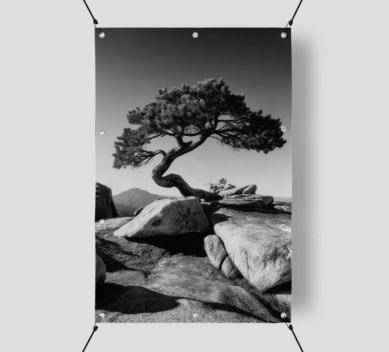 Albero in bianco e nero sulla cima di una montagna telo in pvc da Indigo Tides Art