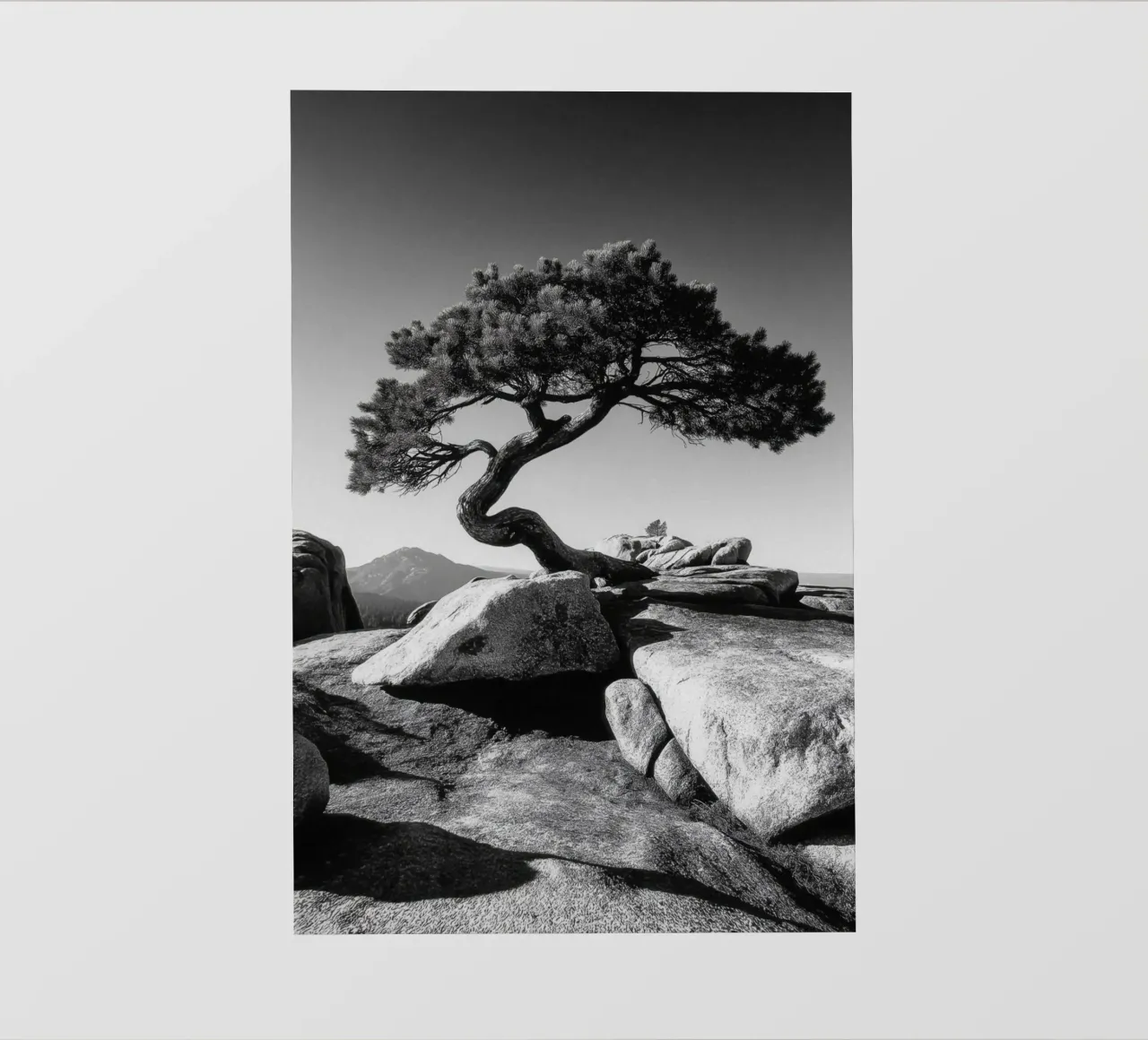 Albero in bianco e nero sulla cima di una montagna telo in pvc da Indigo Tides Art