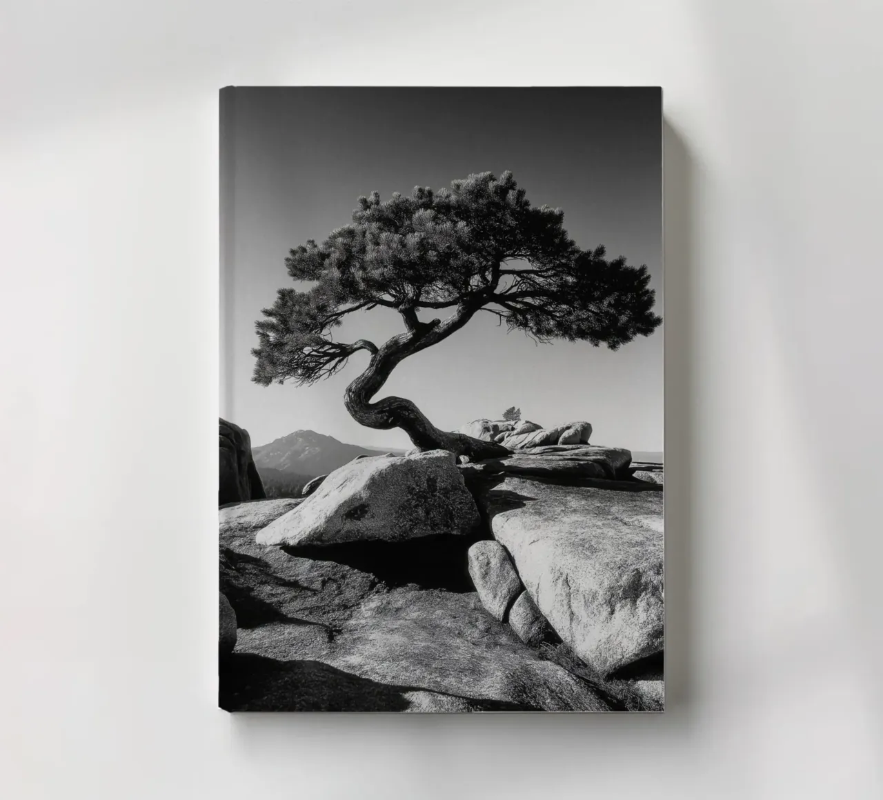 Albero in bianco e nero sulla cima di una montagna diario da Indigo Tides Art