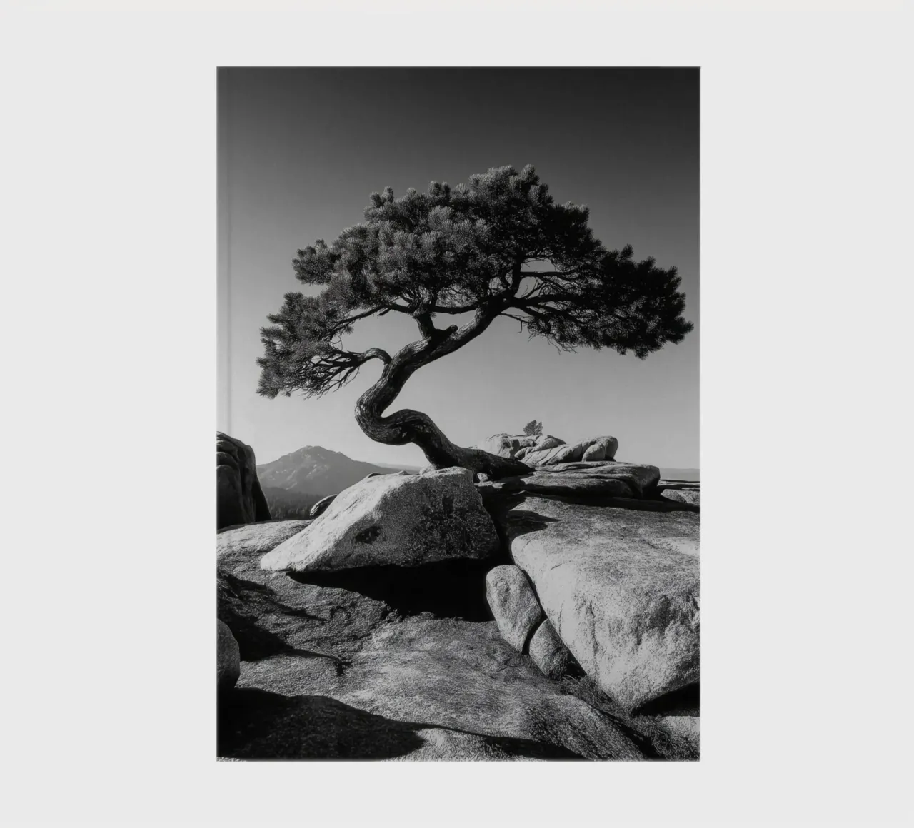 Albero in bianco e nero sulla cima di una montagna diario da Indigo Tides Art