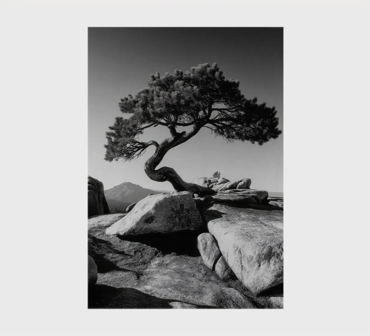 Albero in bianco e nero sulla cima di una montagna diario da Indigo Tides Art