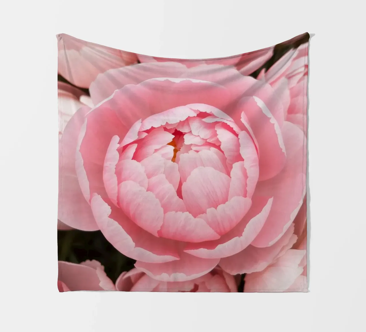 Wunderschöne rosafarbene Pfingstrosen in voller Blüte, die zarte Kunstwerke präsentieren Fleecedecke von DesignDoodle