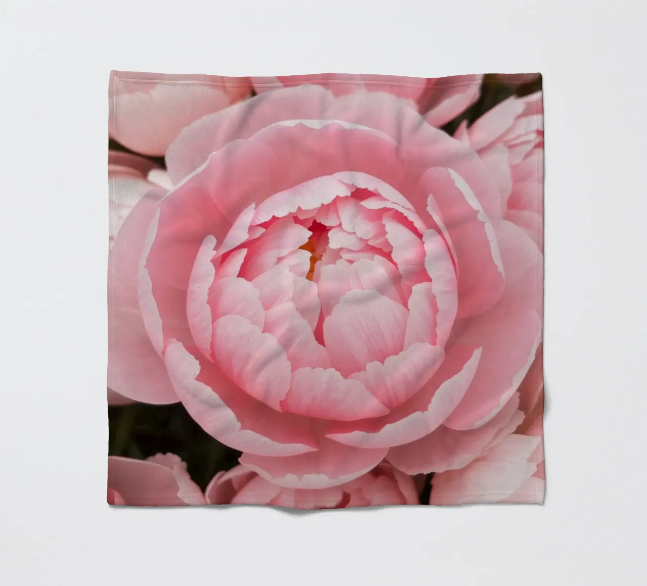 Wunderschöne rosafarbene Pfingstrosen in voller Blüte, die zarte Kunstwerke präsentieren Fleecedecke von DesignDoodle