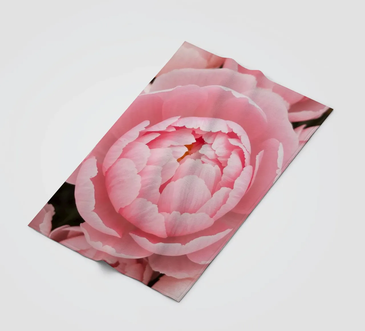 Wunderschöne rosafarbene Pfingstrosen in voller Blüte, die zarte Kunstwerke präsentieren Fleecedecke von DesignDoodle