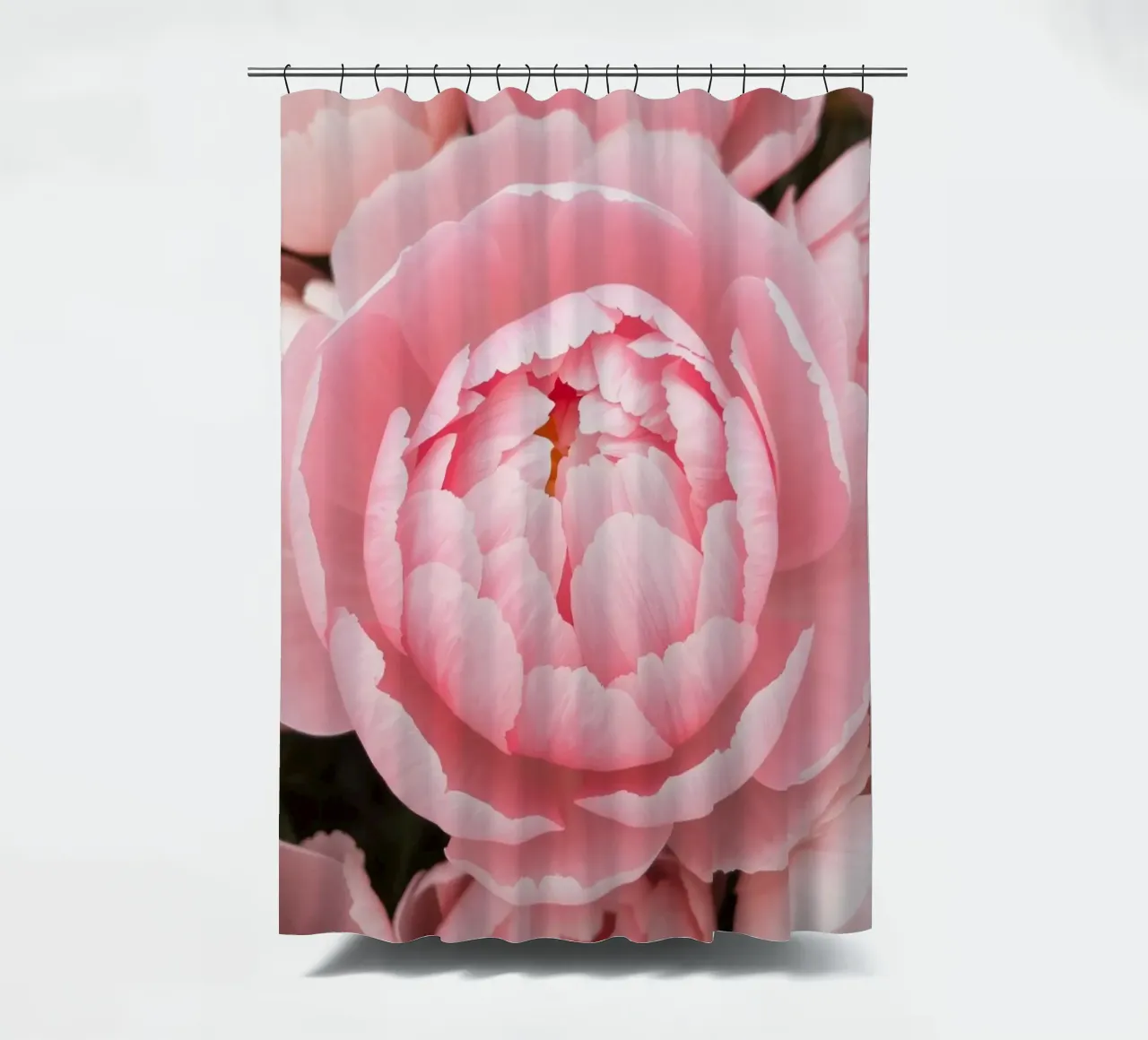 Wunderschöne rosafarbene Pfingstrosen in voller Blüte, die zarte Kunstwerke präsentieren Duschvorhang von DesignDoodle