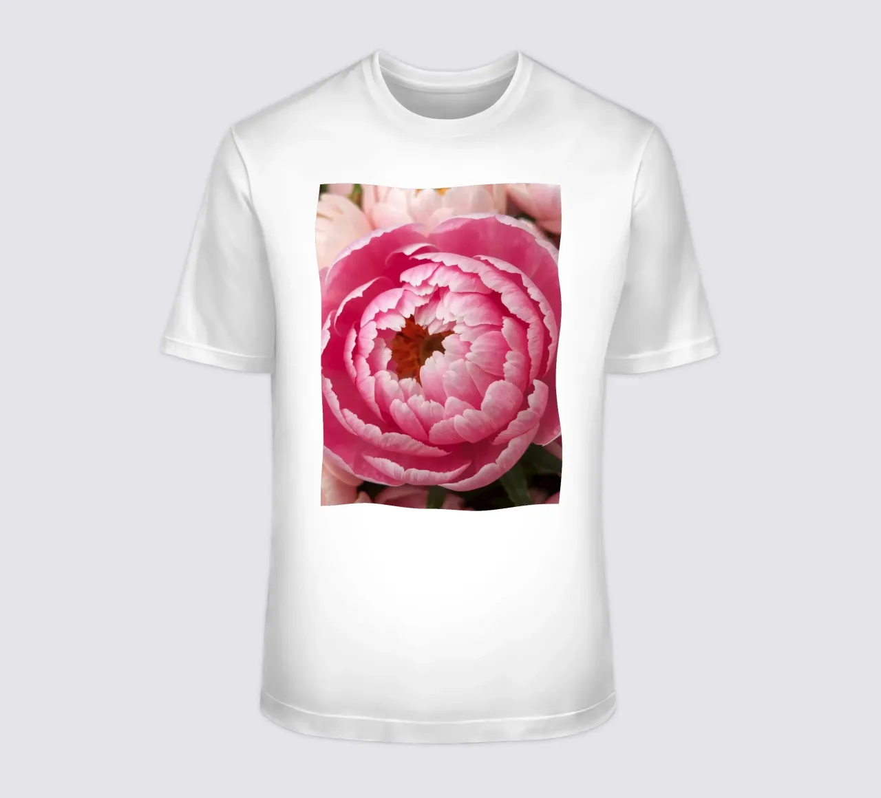 Splendide peonie rosa fioriscono in un giardino in primavera t-shirt da DesignDoodle