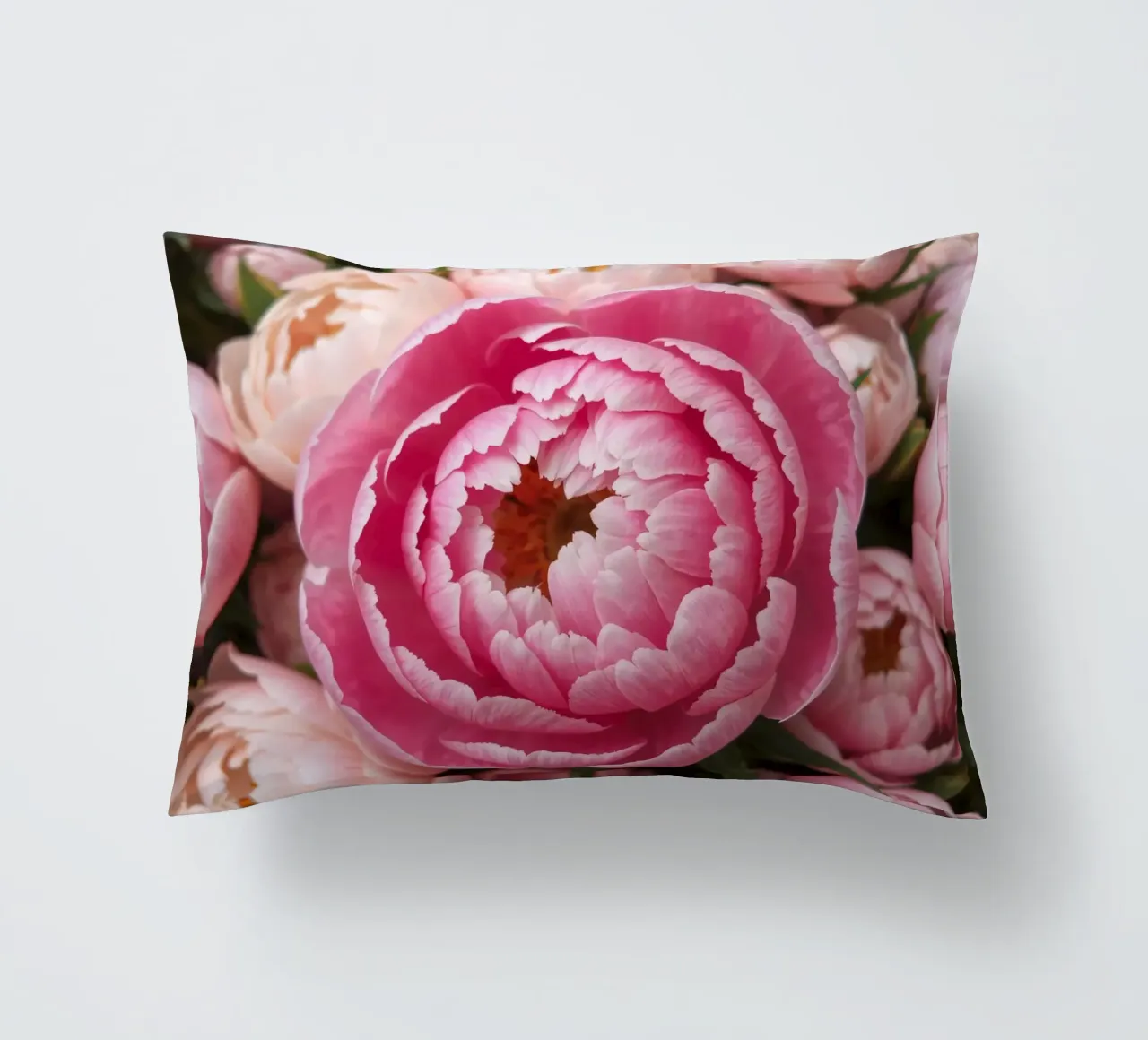 Splendide peonie rosa fioriscono in un giardino in primavera cuscino da DesignDoodle