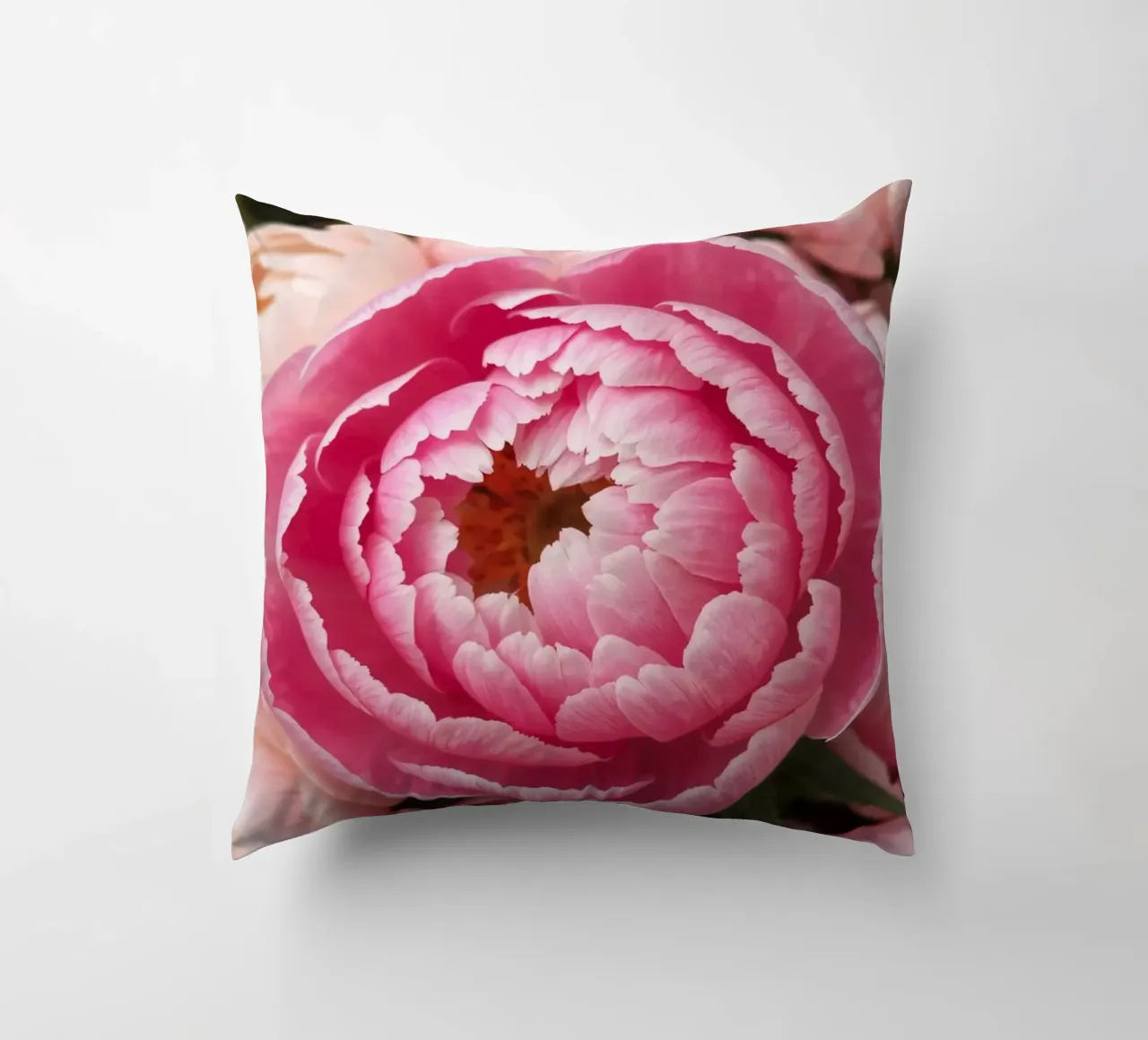 Splendide peonie rosa fioriscono in un giardino in primavera cuscino da DesignDoodle
