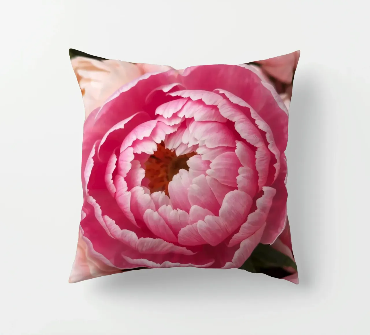 Splendide peonie rosa fioriscono in un giardino in primavera cuscino da DesignDoodle