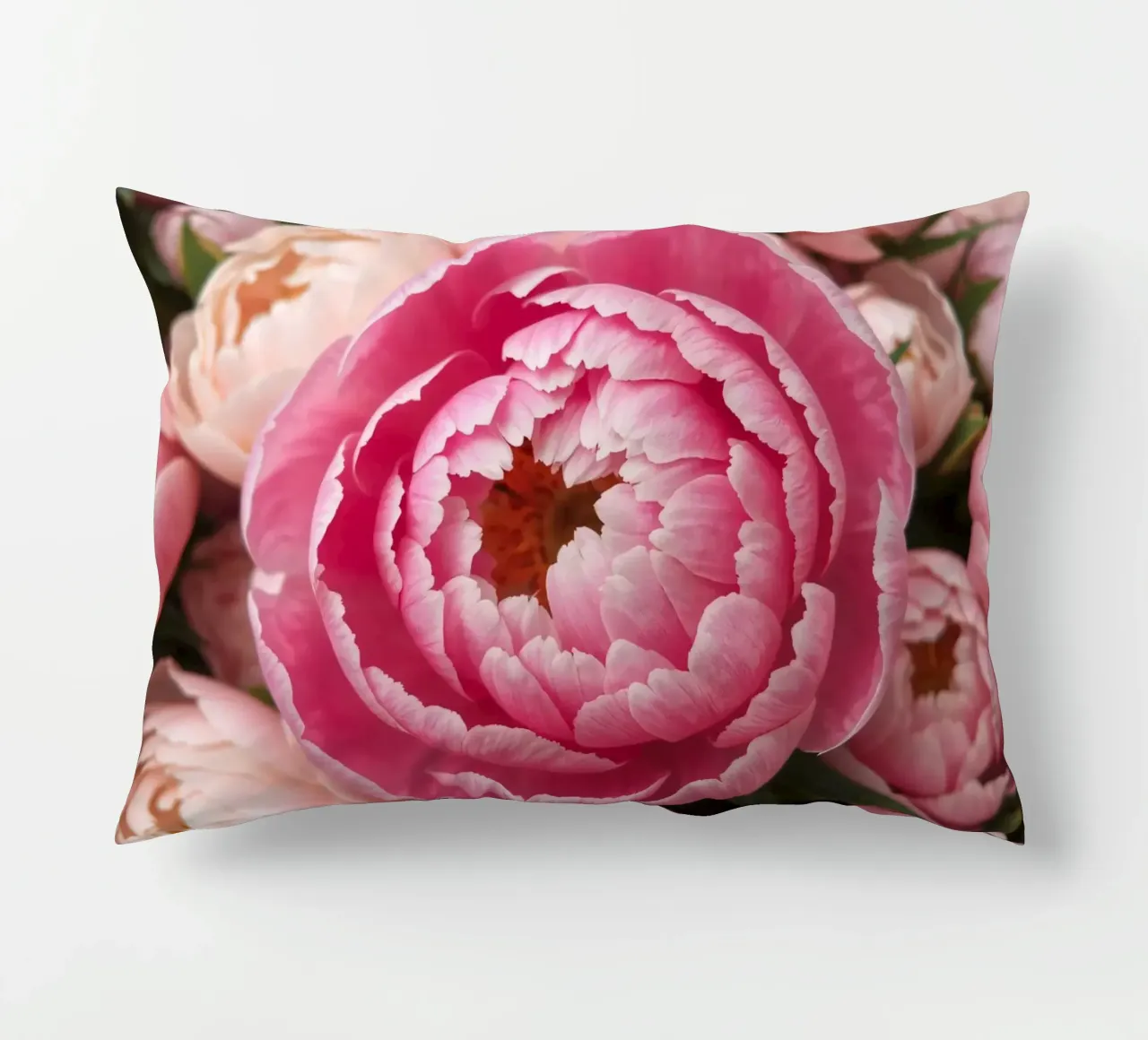 Splendide peonie rosa fioriscono in un giardino in primavera cuscino da DesignDoodle
