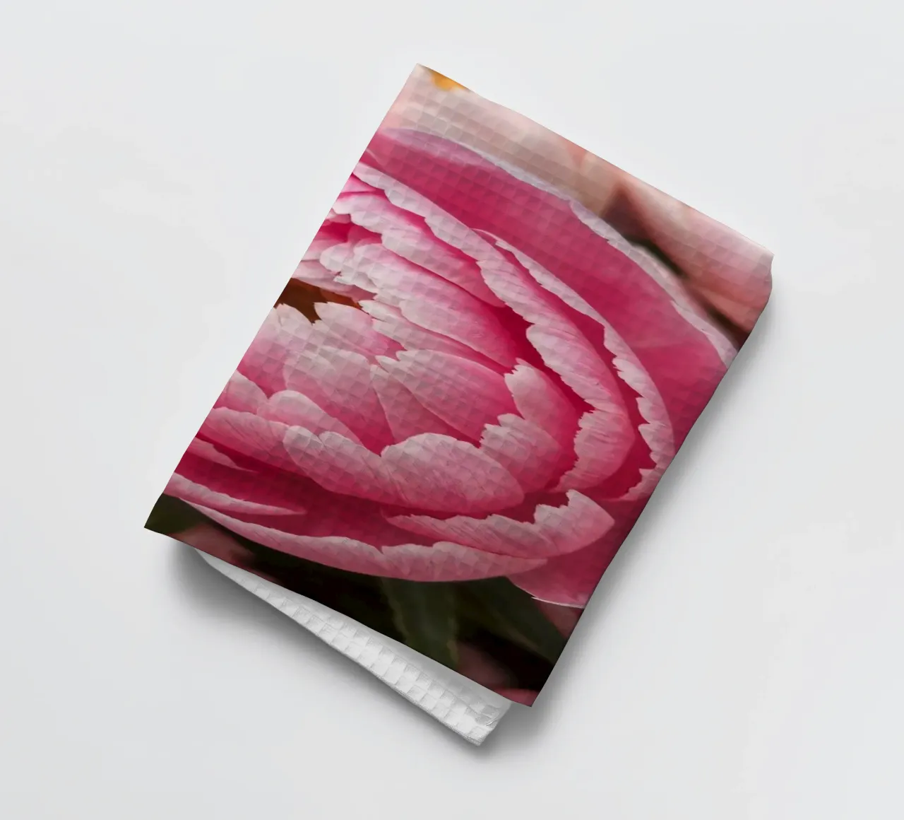 Splendide peonie rosa fioriscono in un giardino in primavera canovaccio da cucina da DesignDoodle