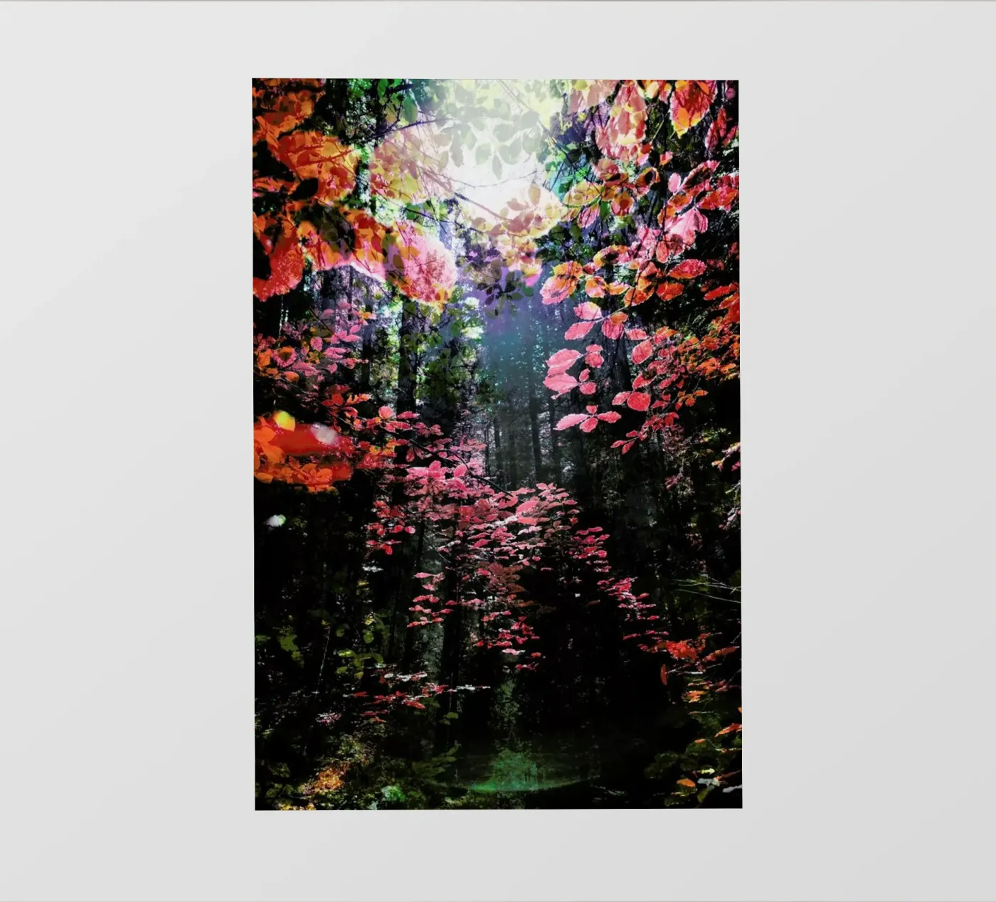Enchanted fotobehang van Angelo Cerantola