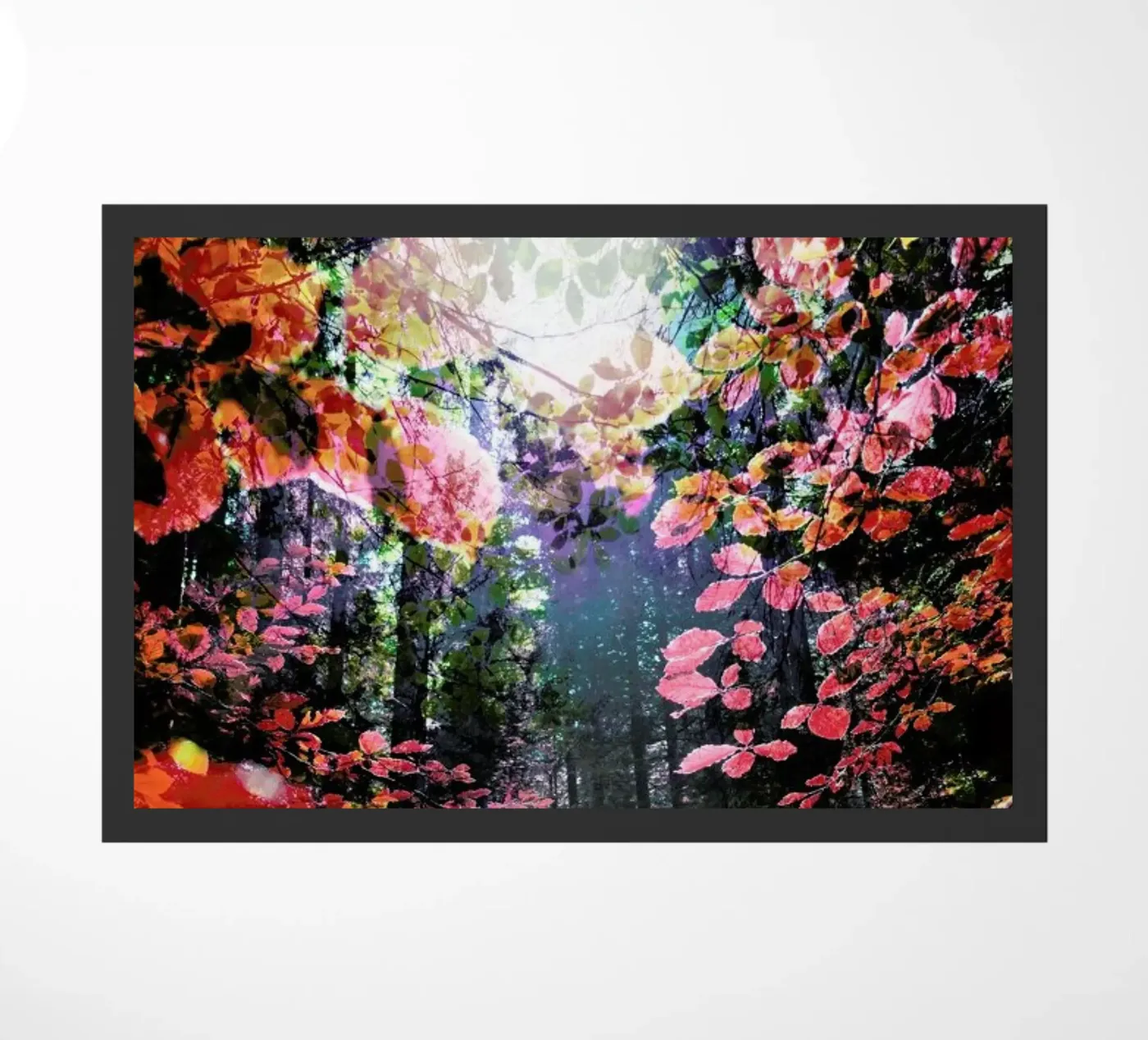 Enchanted doormat by Angelo Cerantola