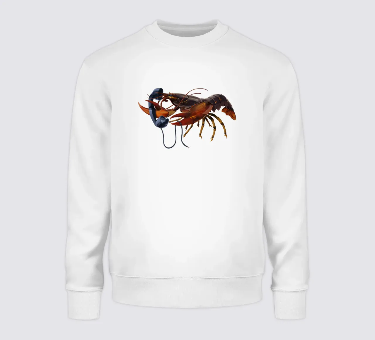 Calling Salvador (Wordless) felpa da Rob Art | Illustration