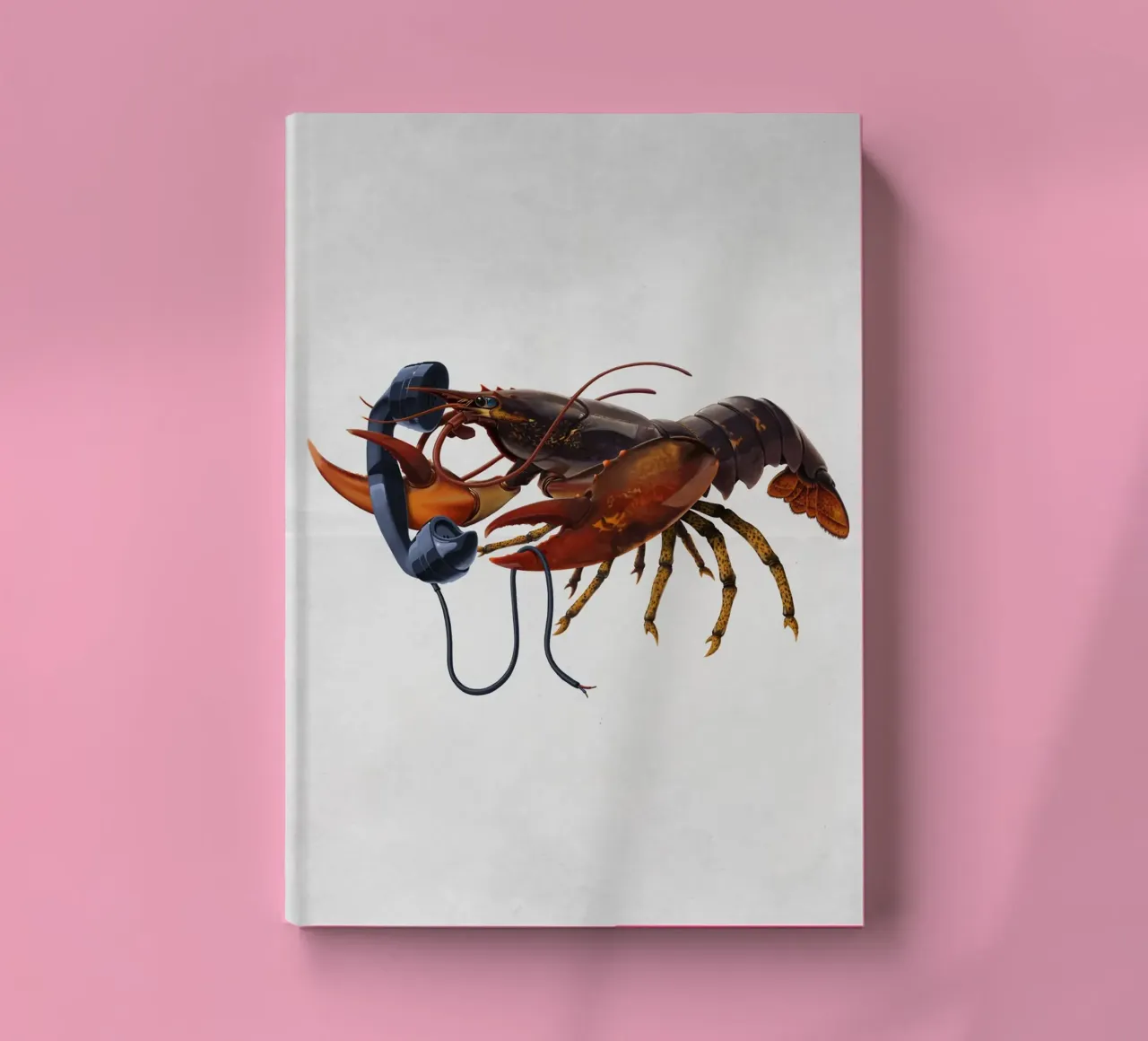 Calling Salvador (Wordless) notebook by Rob Art | Illustration