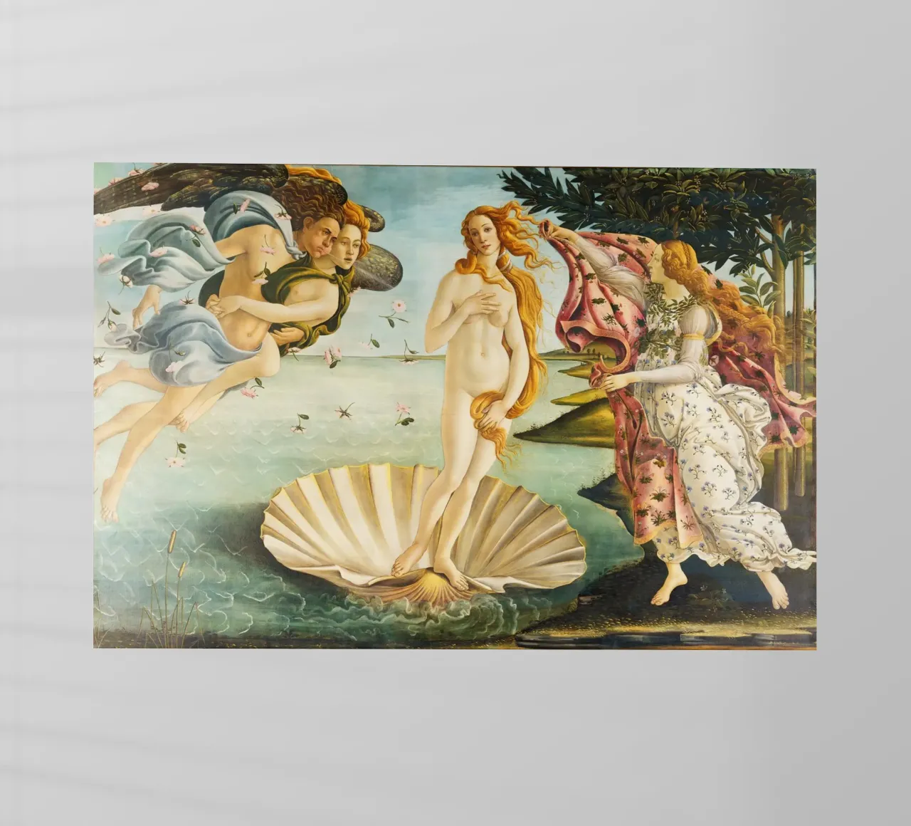 La nascita di Venere di Sandro Botticelli pellicola backlit da Art History