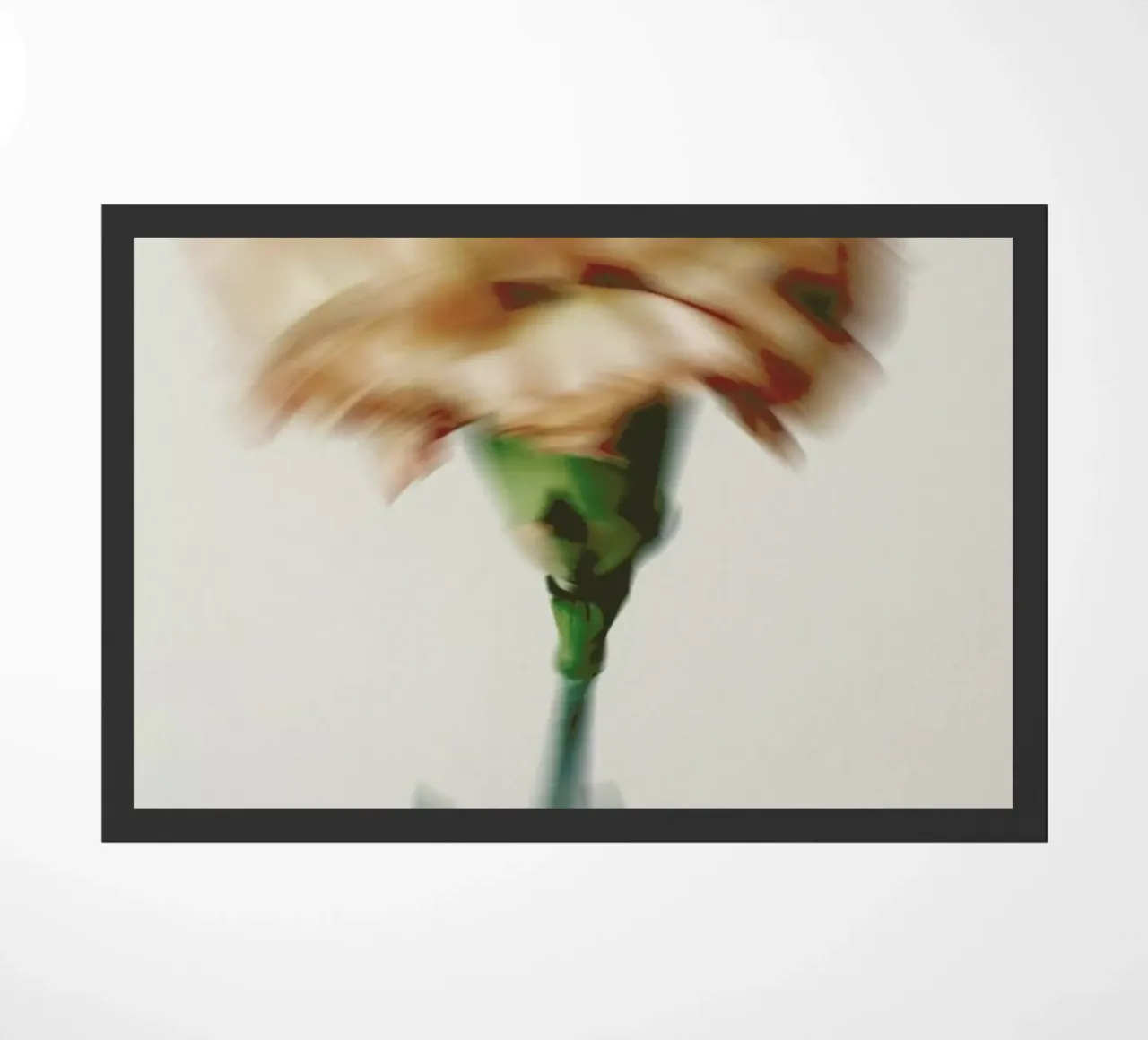 Peony Haze zerbino da Studio One
