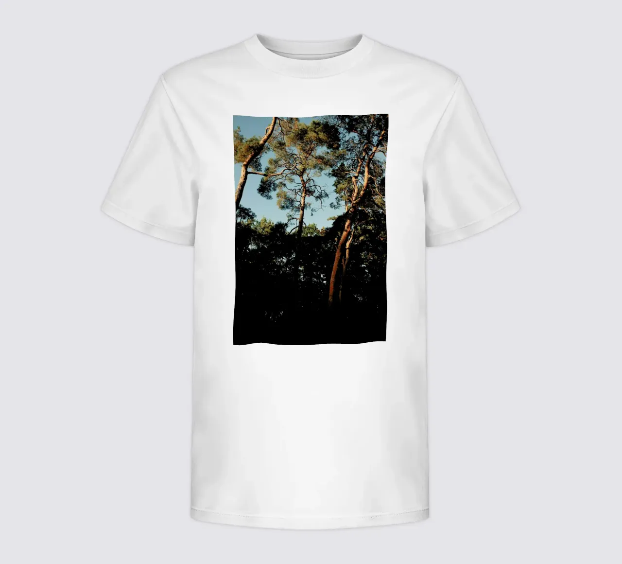 Trees At Sundown Kinder T-Shirt von Sebastian Hilgetag