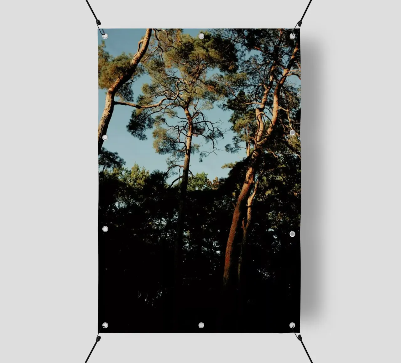 Trees At Sundown telo in pvc da Sebastian Hilgetag