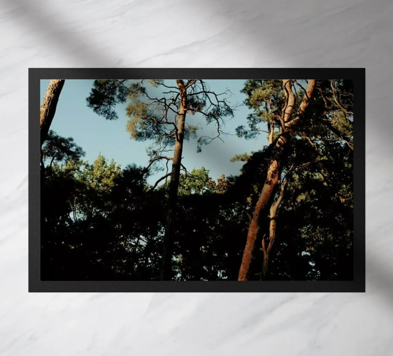 Trees At Sundown zerbino da Sebastian Hilgetag