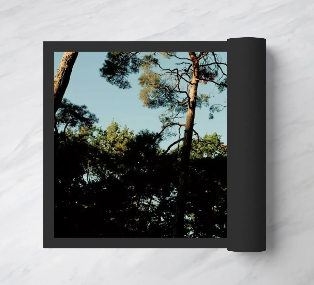 Trees At Sundown zerbino da Sebastian Hilgetag