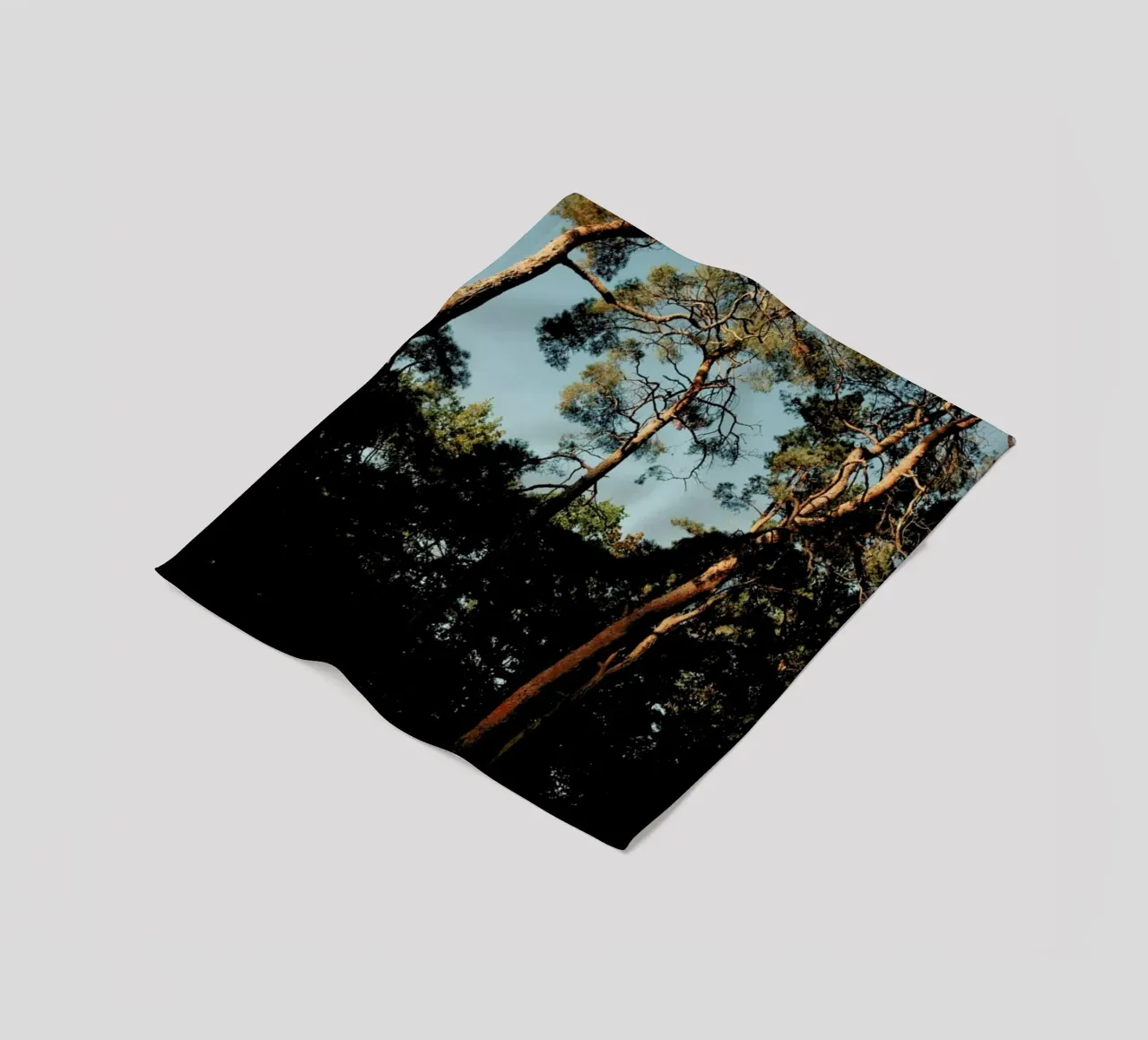 Trees At Sundown coperta in pile da Sebastian Hilgetag