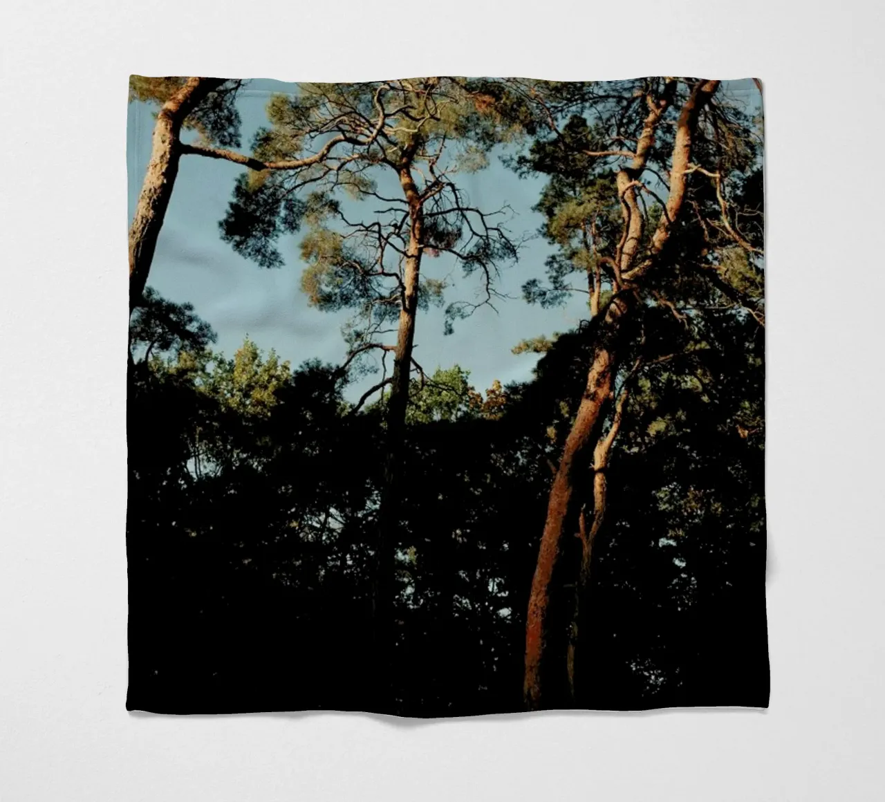 Trees At Sundown coperta in pile da Sebastian Hilgetag