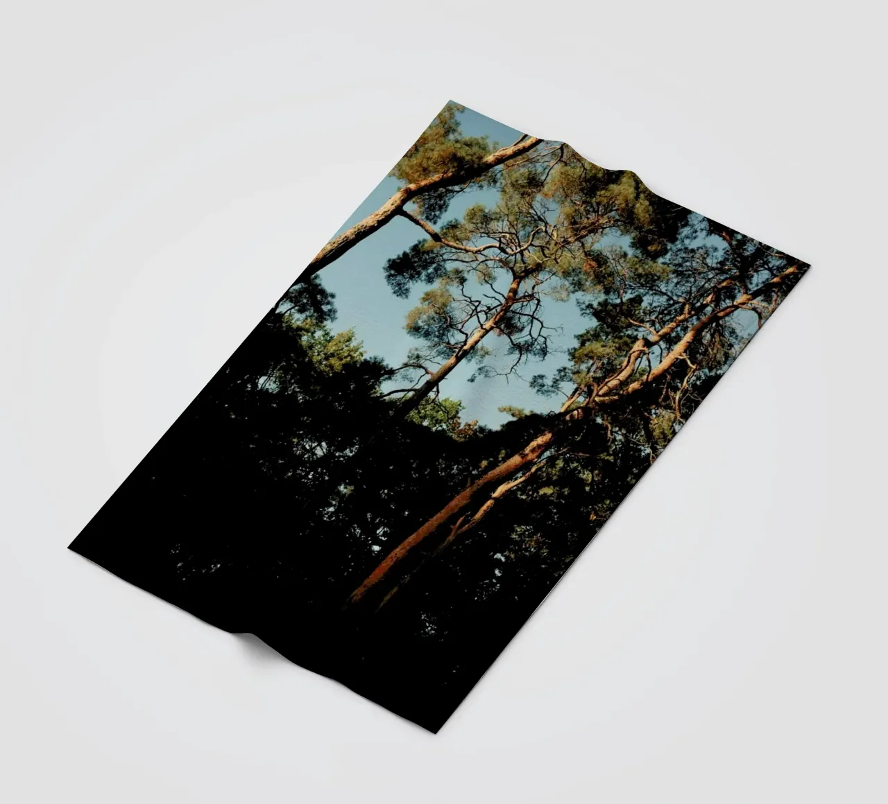 Trees At Sundown coperta in pile da Sebastian Hilgetag