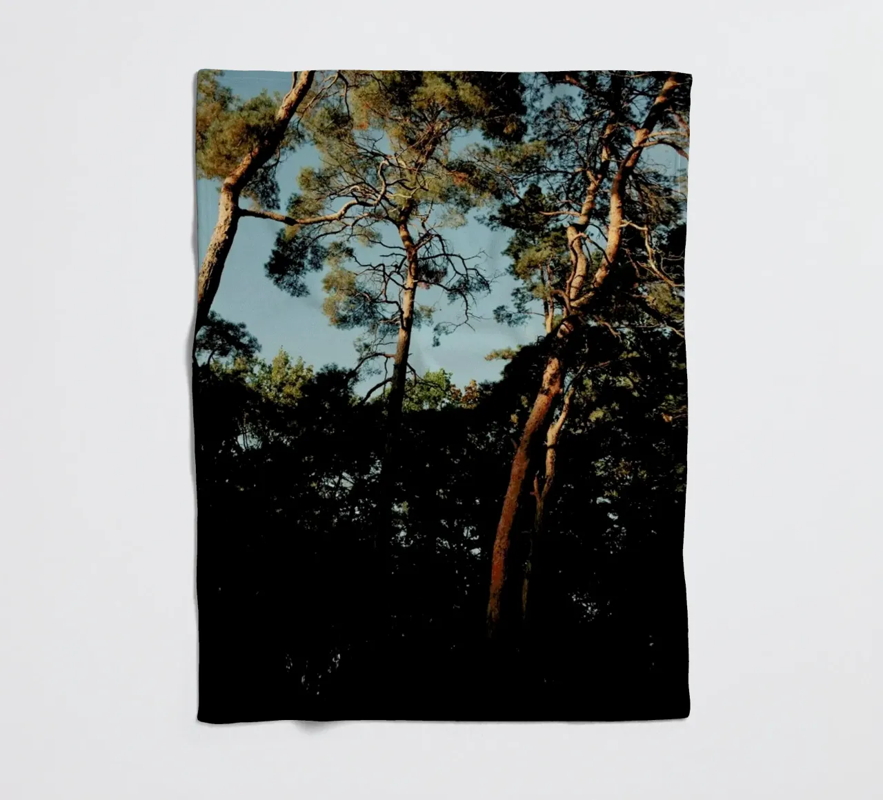 Trees At Sundown coperta in pile da Sebastian Hilgetag