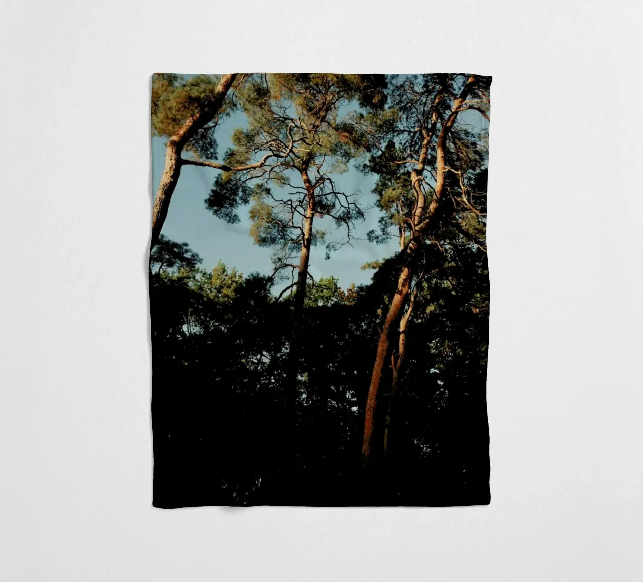 Trees At Sundown coperta in pile da Sebastian Hilgetag