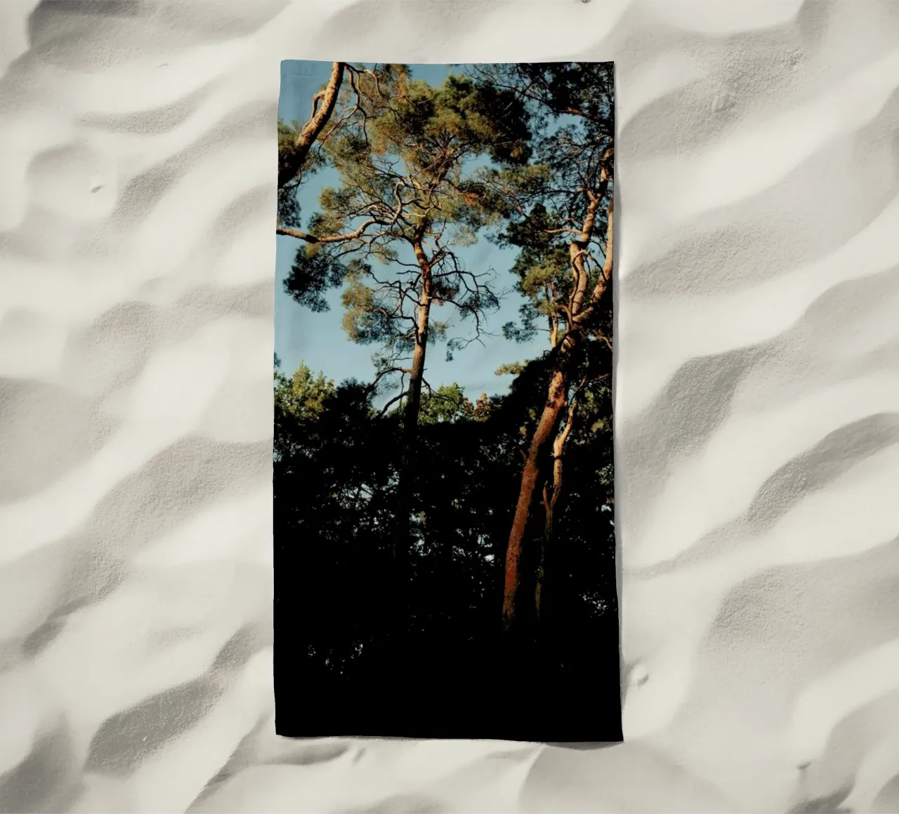 Trees At Sundown telo mare da Sebastian Hilgetag