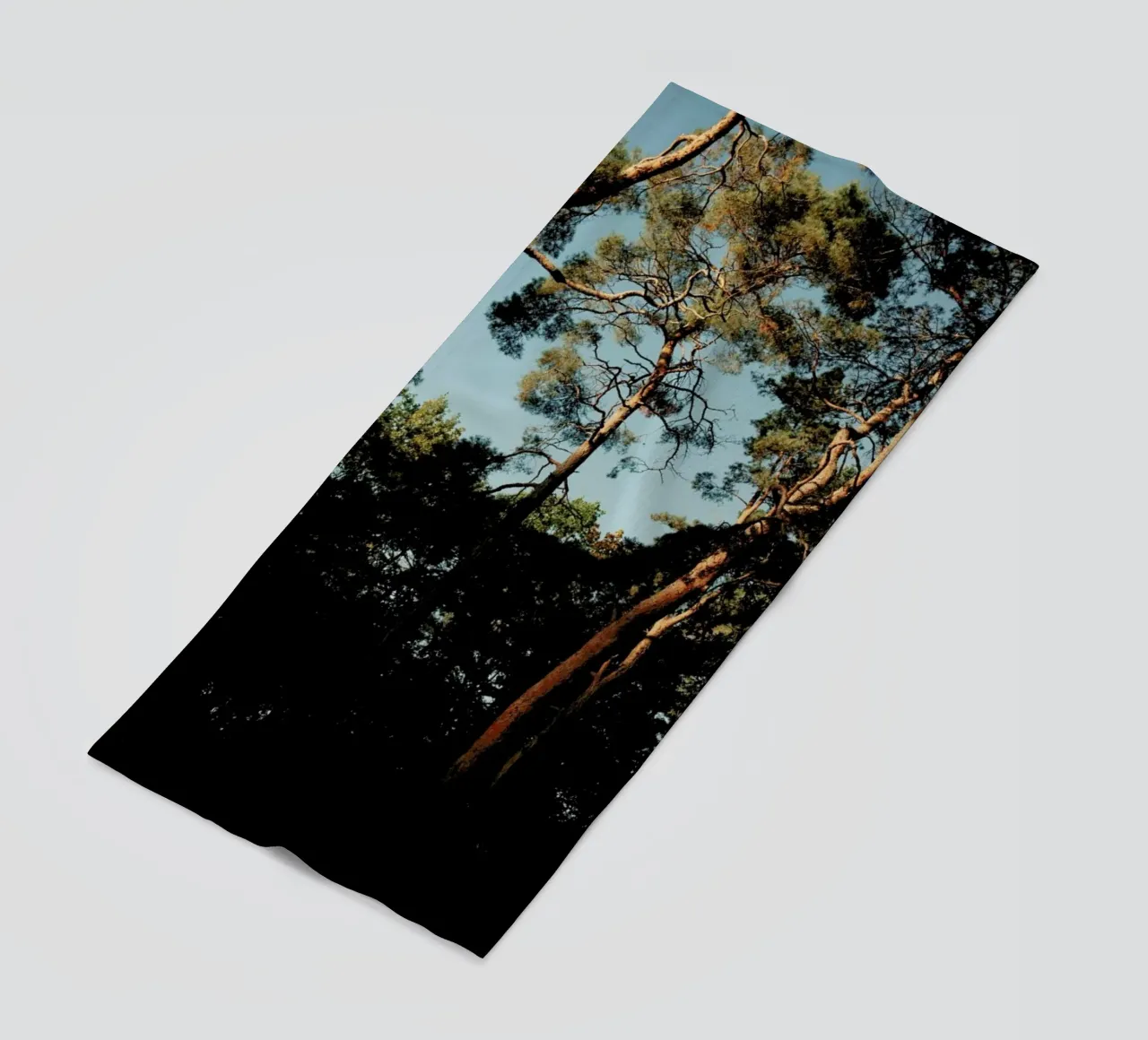 Trees At Sundown telo mare da Sebastian Hilgetag