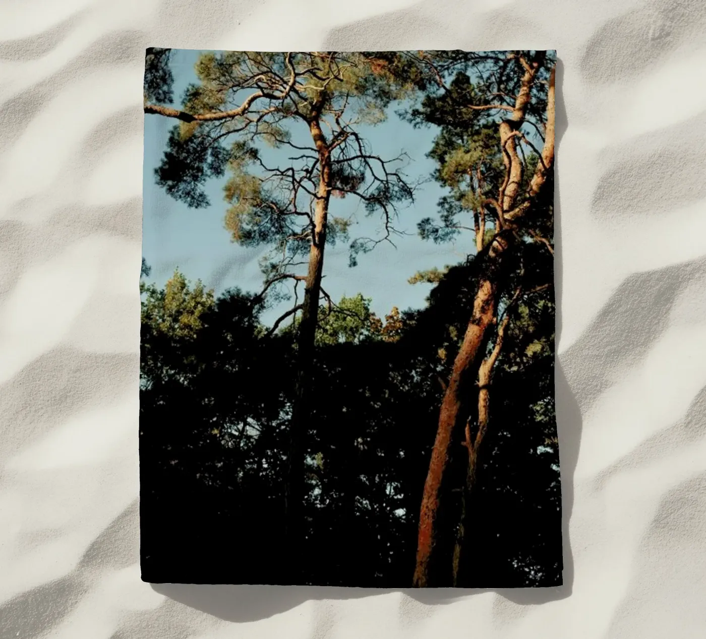 Trees At Sundown telo mare da Sebastian Hilgetag