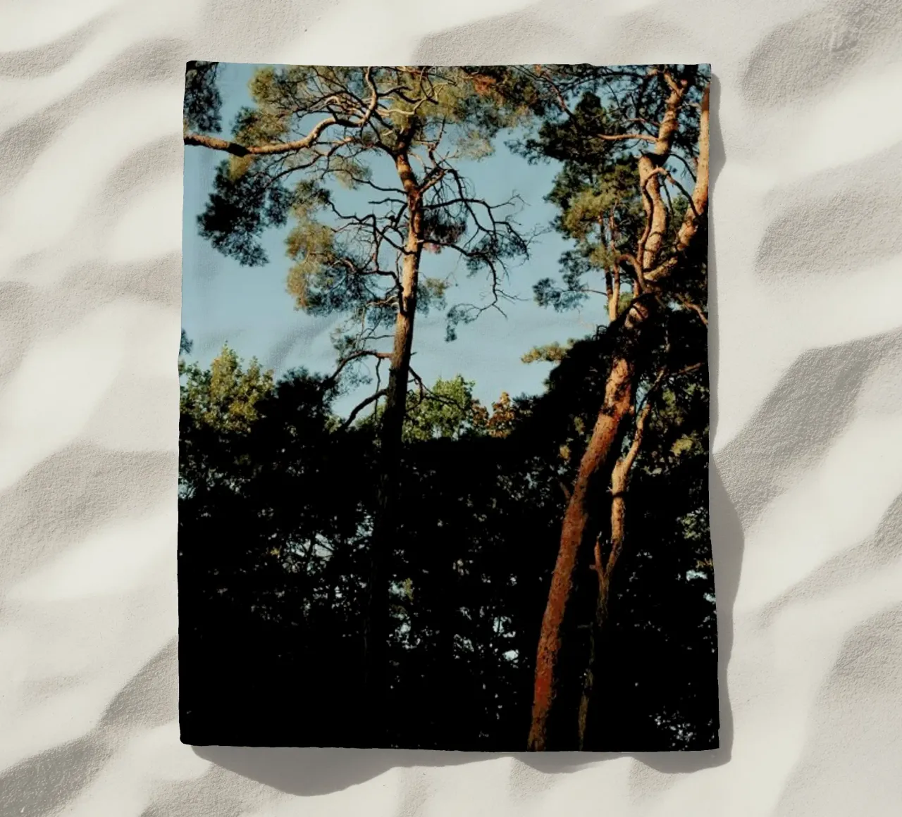 Trees At Sundown telo mare da Sebastian Hilgetag