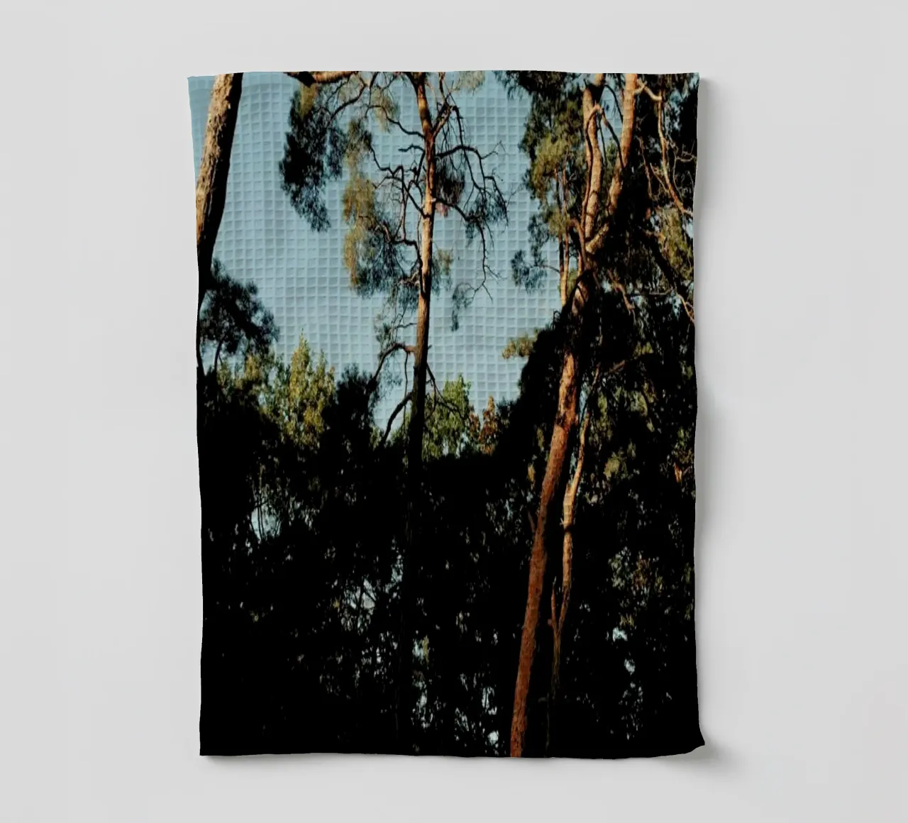 Trees At Sundown canovaccio da cucina da Sebastian Hilgetag