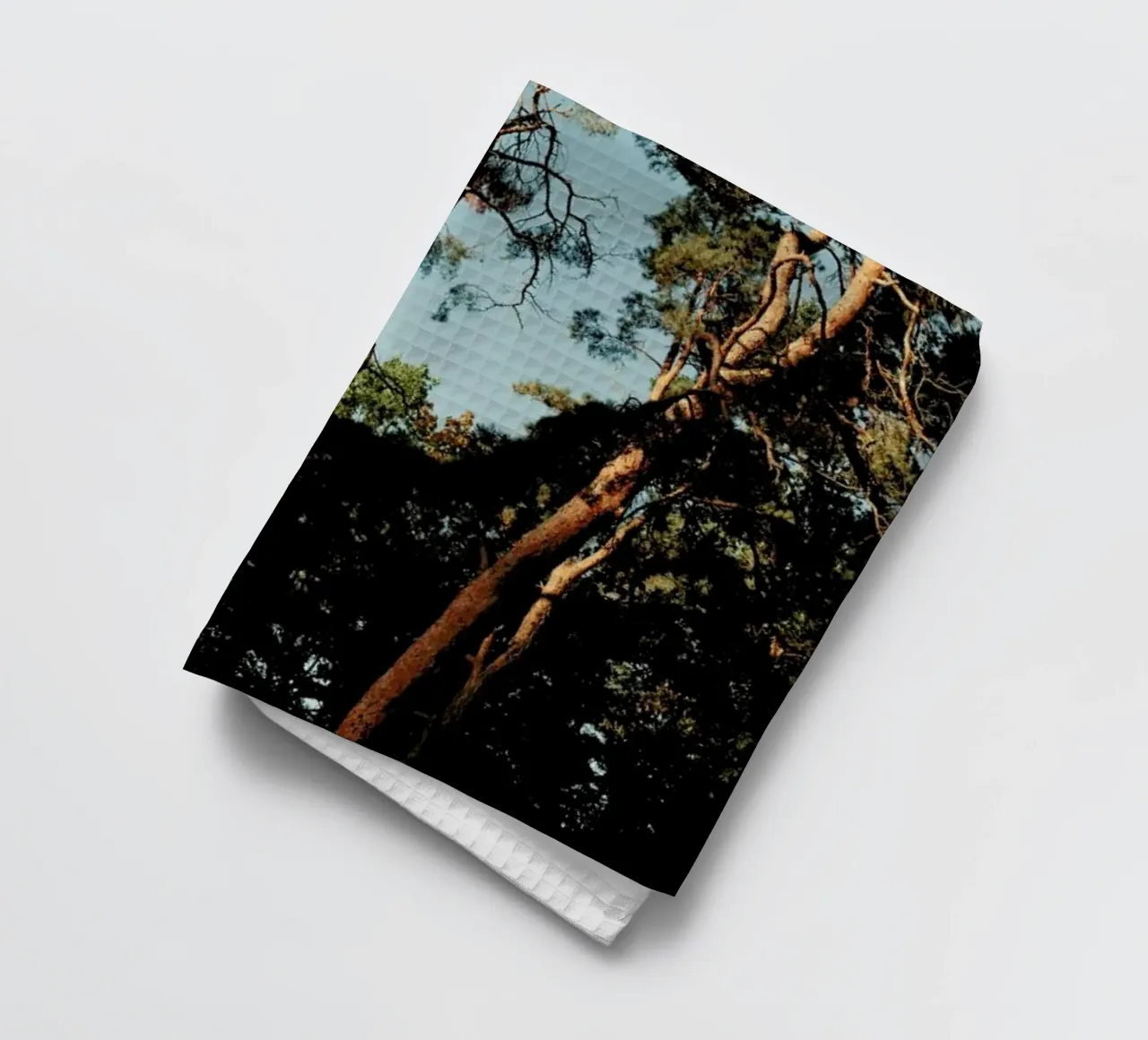 Trees At Sundown canovaccio da cucina da Sebastian Hilgetag