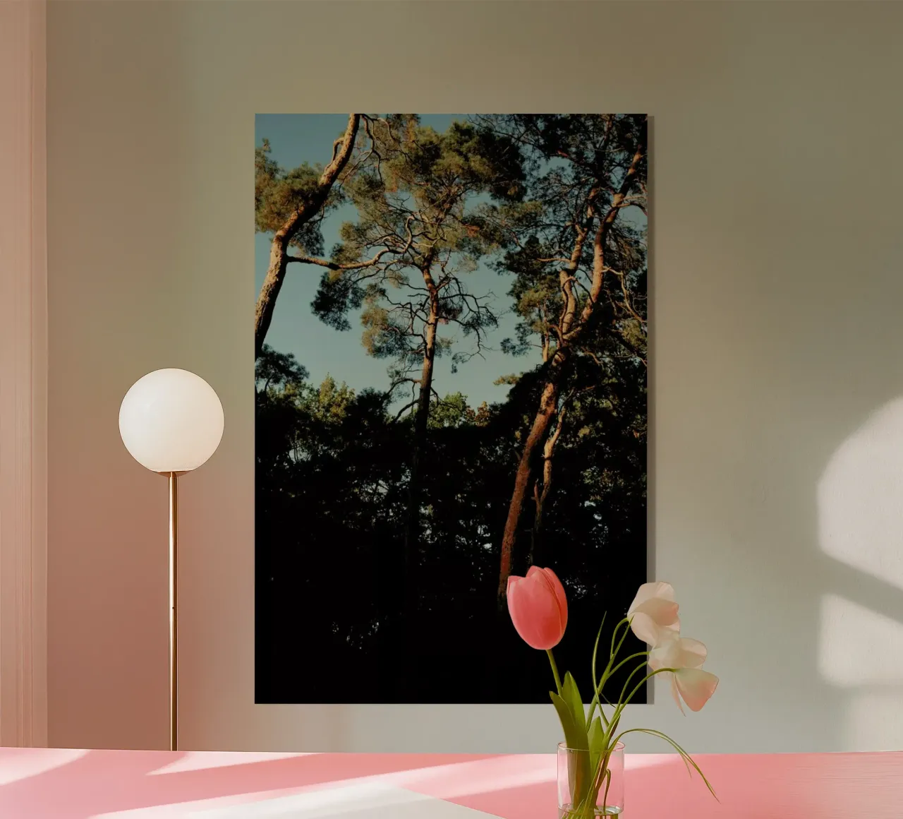 Trees At Sundown plexiglass da Sebastian Hilgetag