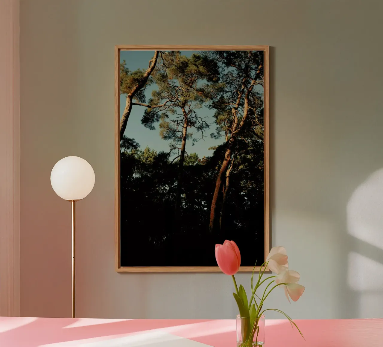 Trees At Sundown alluminio dibond da Sebastian Hilgetag