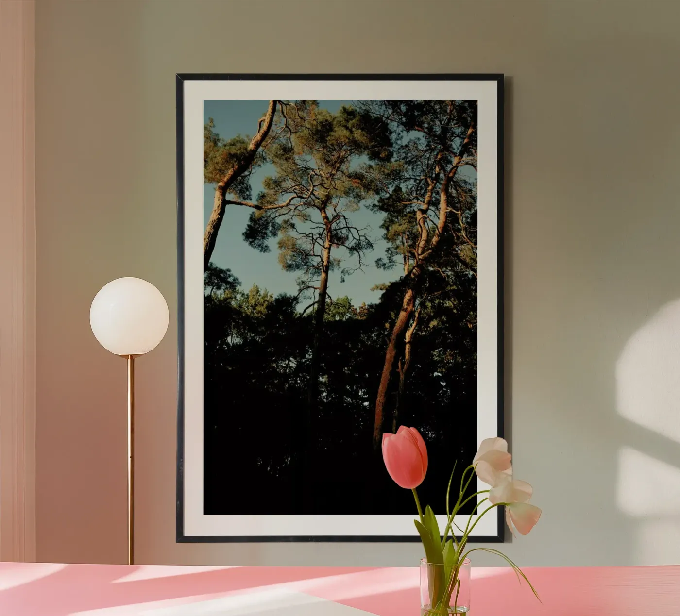 Trees At Sundown poster by Sebastian Hilgetag
