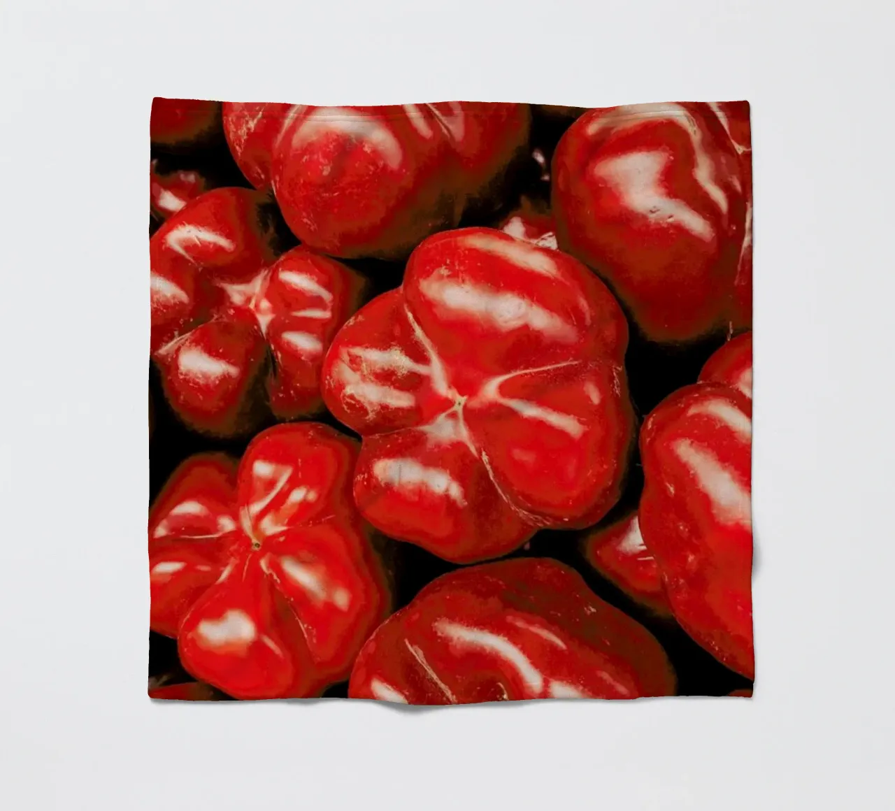 Paprika Love fleece blanket by Sebastian Hilgetag