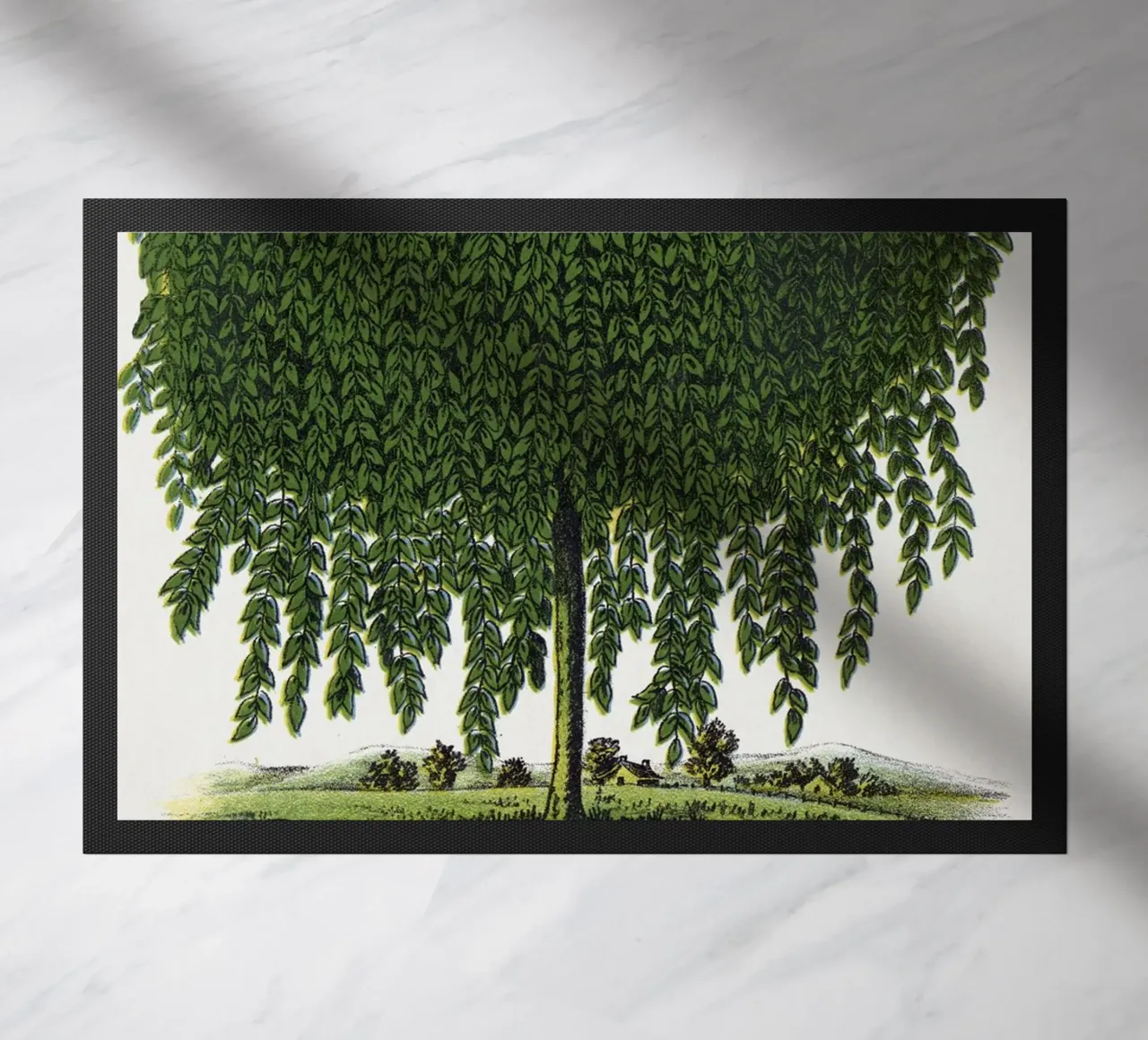 Kilmarnock Weeping Willow tree zerbino da vintageshop