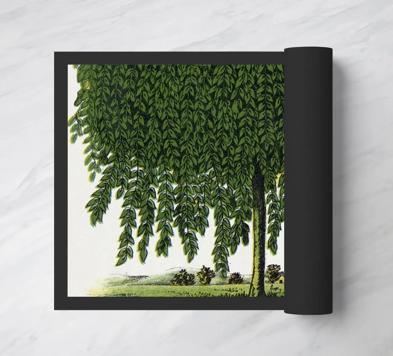 Kilmarnock Weeping Willow tree zerbino da vintageshop