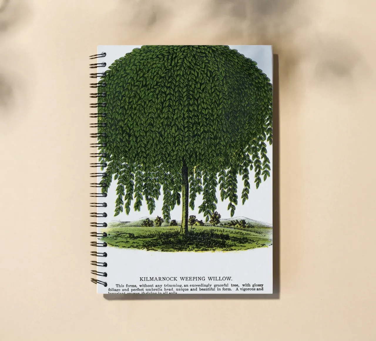 Kilmarnock Weeping Willow tree spiral notebook by vintageshop