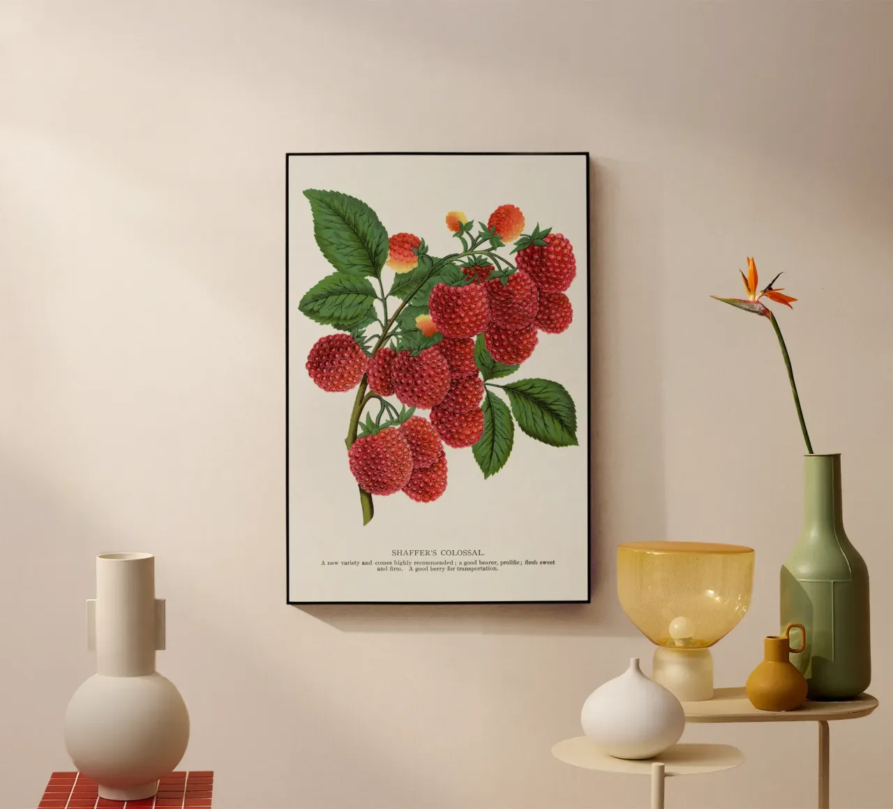 Shaffer's Colossal plexiglass da vintageshop