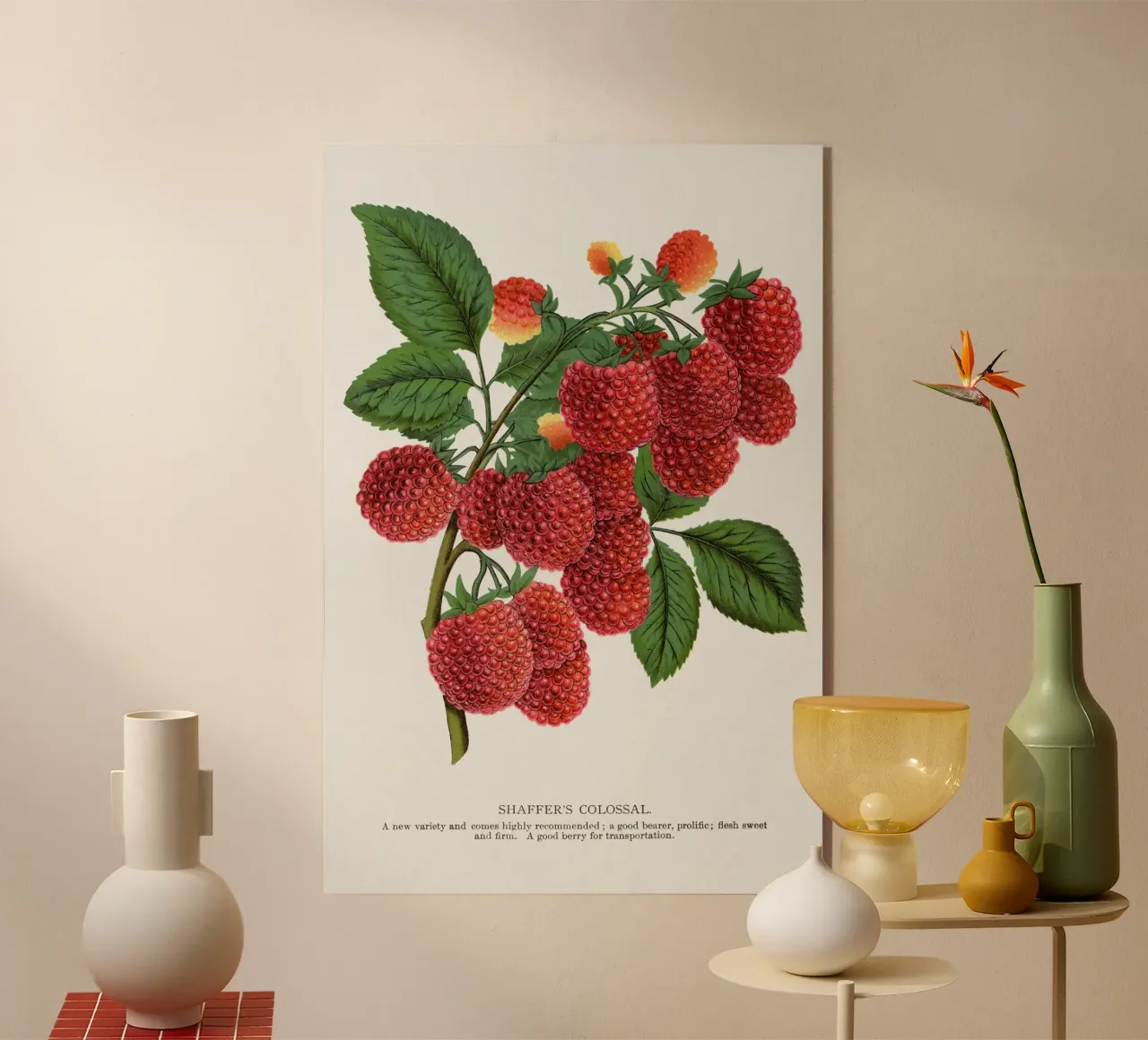 Shaffer's Colossal plexiglass da vintageshop