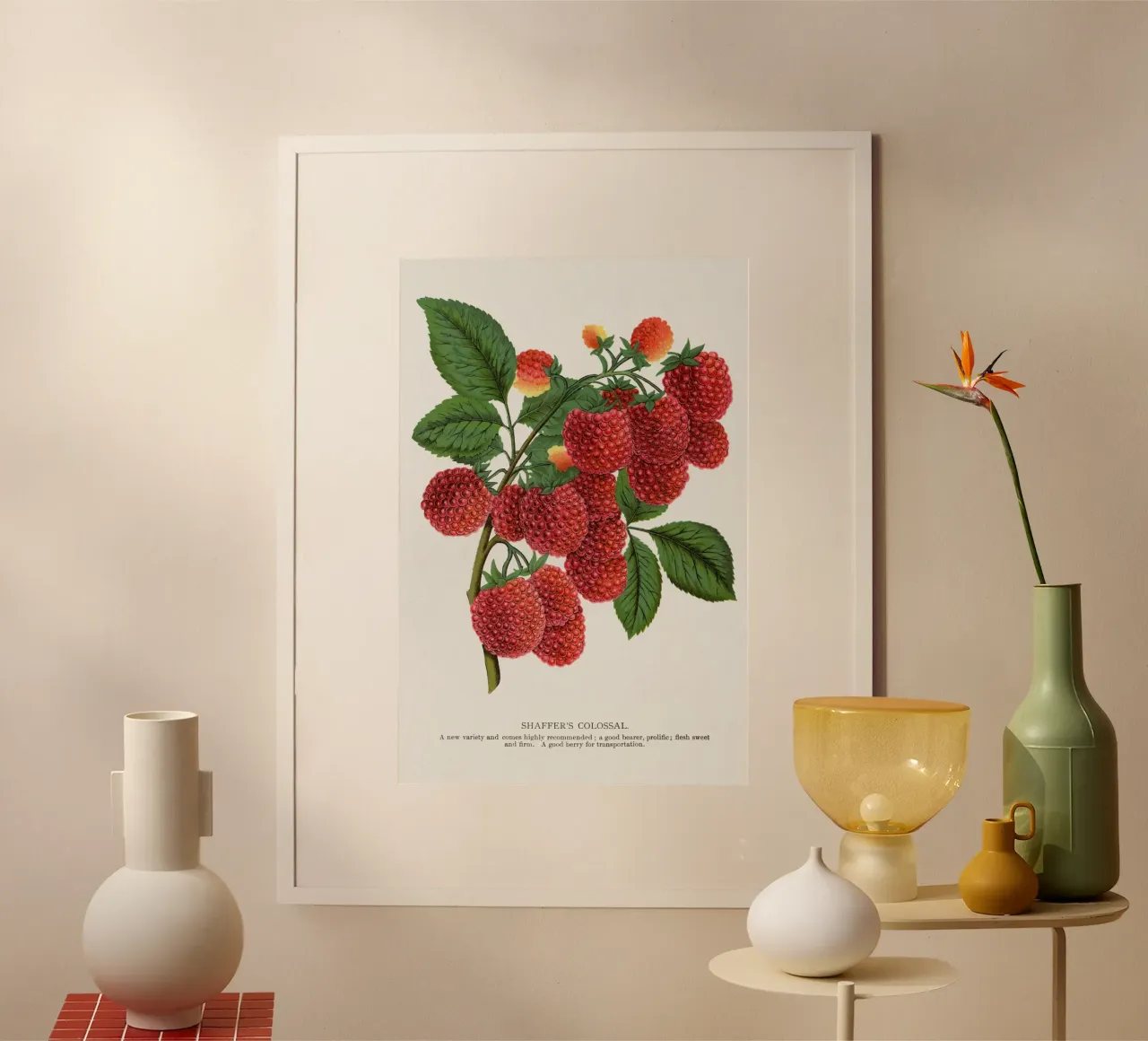 Shaffer's Colossal poster da vintageshop