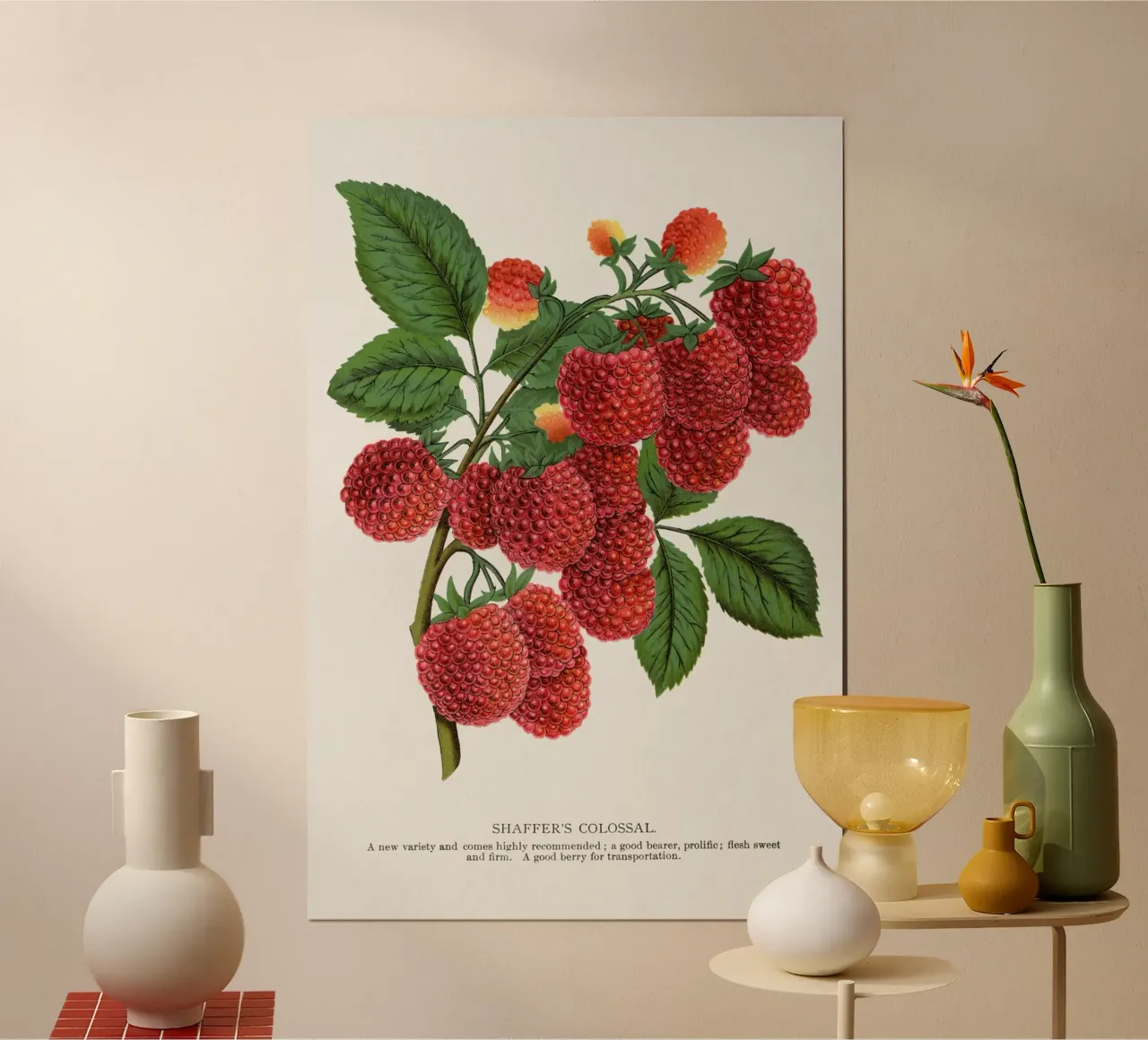 Shaffer's Colossal poster da vintageshop